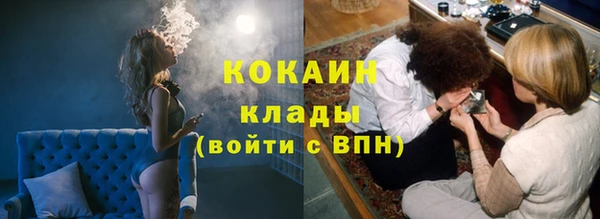 шишки Аркадак