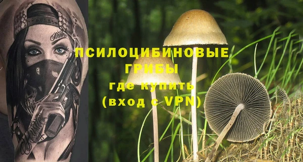 Альфа ПВП Арсеньев