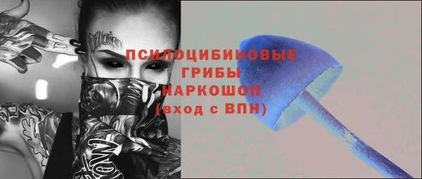Альфа ПВП Арсеньев