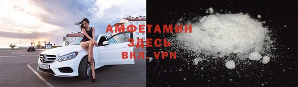 шишки Аркадак