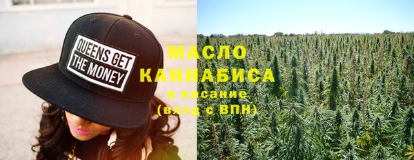шишки Аркадак