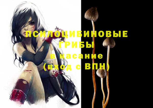 шишки Аркадак