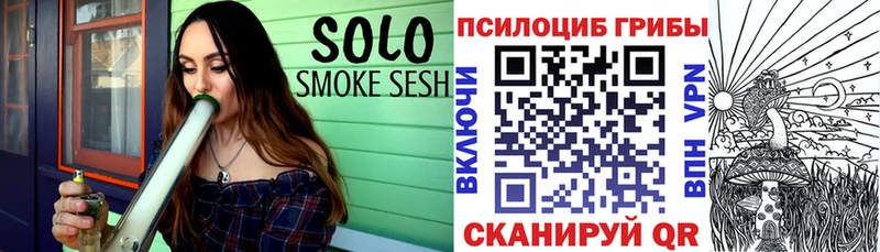 Купить закладки  Минусинск  Галлюциногенные грибы GOLDEN TEACHER 